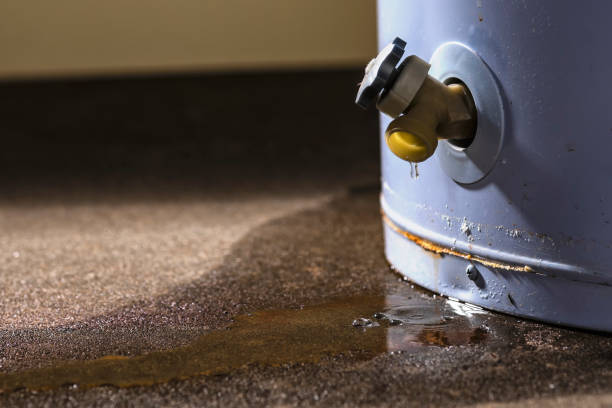 Best Flood restoration services  in Catalina, AZ
