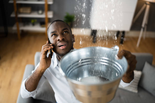Best Water damage cleanup near me  in Catalina, AZ