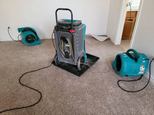 Best Commercial water damage restoration  in Catalina, AZ