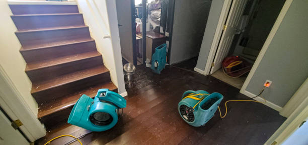 Best Sewage cleanup and water damage restoration  in Catalina, AZ