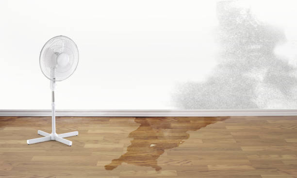Best Flooded house restoration  in Catalina, AZ