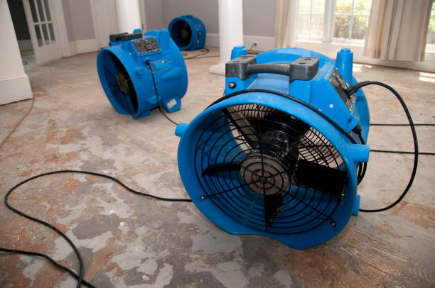 Best Water damage restoration near me  in Catalina, AZ