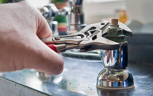 Best Flood damage cleanup  in Catalina, AZ
