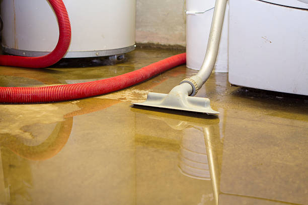 Best Commercial water damage restoration  in Catalina, AZ
