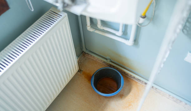 Best Water damage contractors near me  in Catalina, AZ