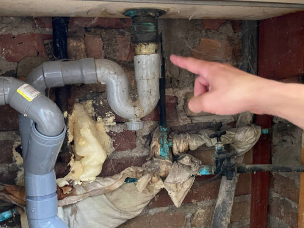 Best Fire Damage Restoration  in Catalina, AZ