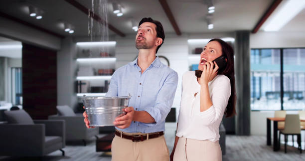 Best Local water damage restoration  in Catalina, AZ